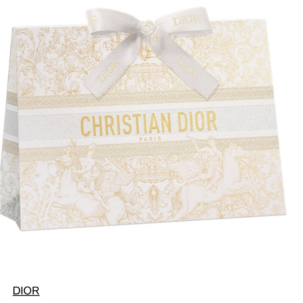 Dior holiday gift bag